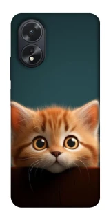 Чохол на Oppo A18 Чохол Кошеня фото 1 з 1