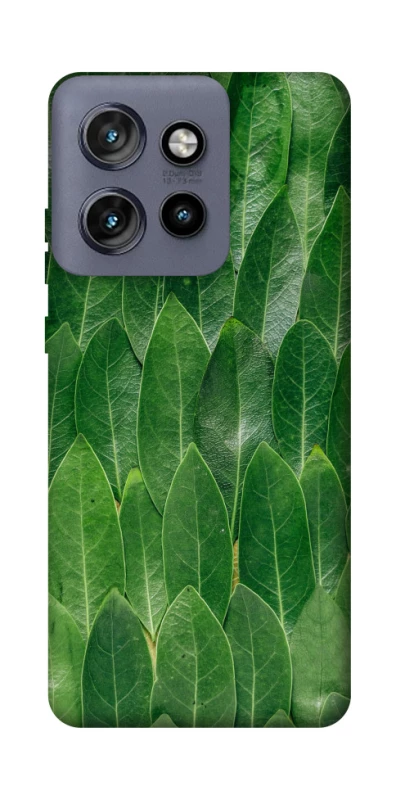 Чохол на Motorola Edge 50 Neo Листя фото 1 з 1