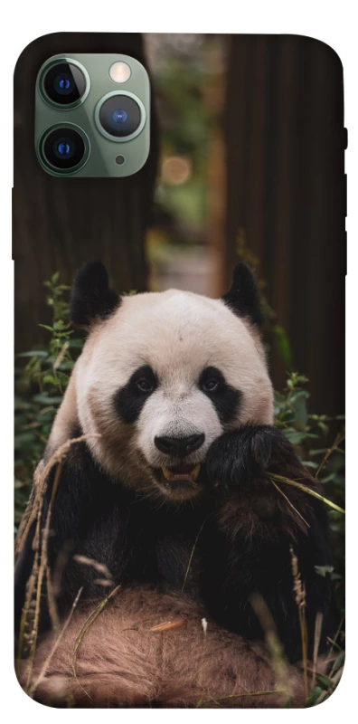 Чехол на Apple iPhone 11 Pro Max (6.5") Панда фото 1 из 1