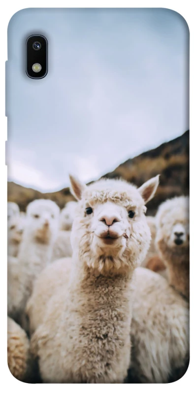 Чохол на Samsung Galaxy A10 (A105F) Лама фото 1 з 1