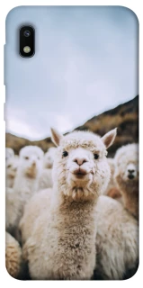 Чохол на Samsung Galaxy A10 (A105F) Лама фото 1 з 1