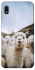 Чохол на Samsung Galaxy A10 (A105F) Лама фото 1 з 1