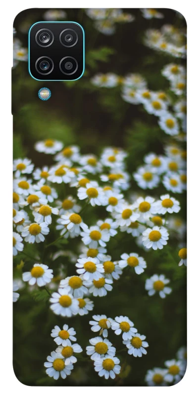 Чехол на Samsung Galaxy M12 Ромашки v13 фото 1 из 1