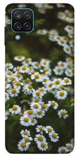 Чехол на Samsung Galaxy M12 Ромашки v13 фото 1 из 1