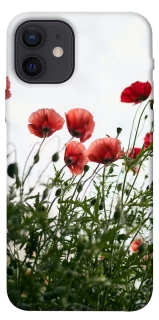 Чохол на Apple iPhone 12 (6.1") Поле маків фото 1 з 1