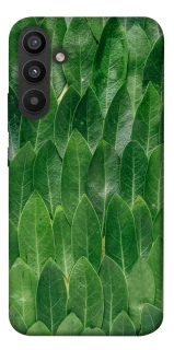 Чохол на Samsung Galaxy A34 5G Листя фото 1 з 1