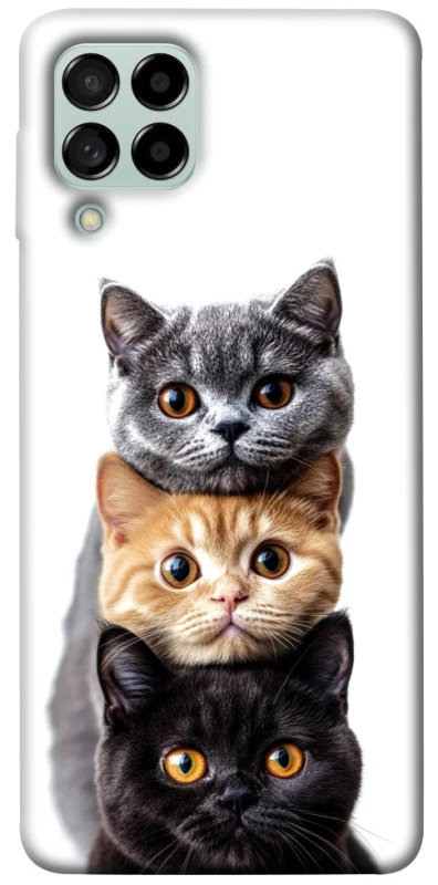 Чохол на Samsung Galaxy M53 5G Гарні котики фото 1 з 1