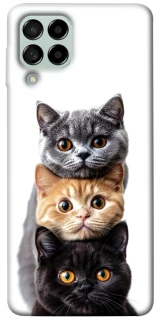Чохол на Samsung Galaxy M53 5G Гарні котики фото 1 з 1