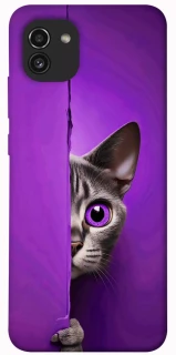Чохол на Samsung Galaxy A03 Кіт-підглядач фото 1 з 1