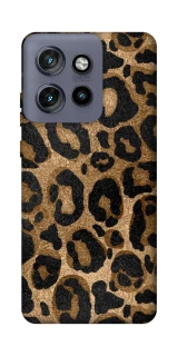 Чохол на Motorola Edge 50 Neo Leopard Skin фото 1 з 1