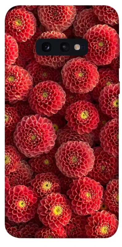 Чохол на Samsung Galaxy S10e Midnight1 фото 1 з 1