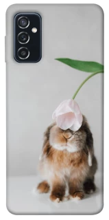 Чохол на Samsung Galaxy M52 Bunny фото 1 з 1