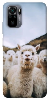 Чохол на Xiaomi Redmi Note 10 / Note 10s Лама фото 1 з 1