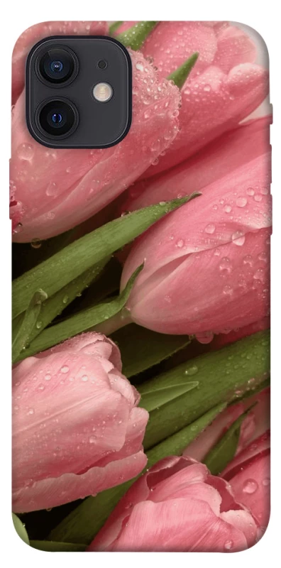 Чохол на Apple iPhone 12 (6.1") Beauty фото 1 з 1