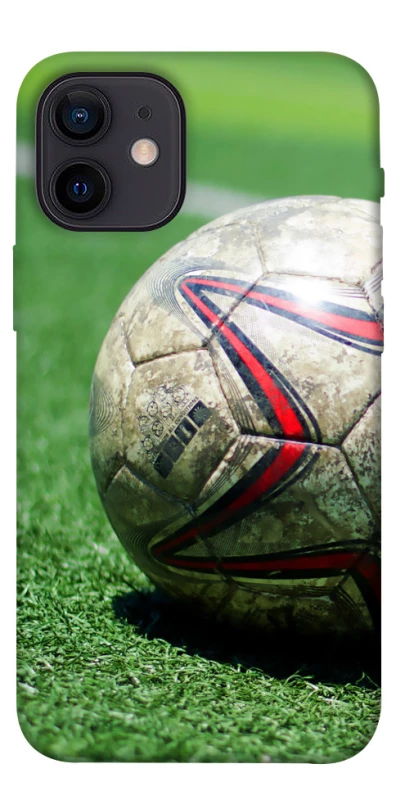 Чехол на Apple iPhone 12 mini (5.4") Мяч на газоне фото 1 из 1