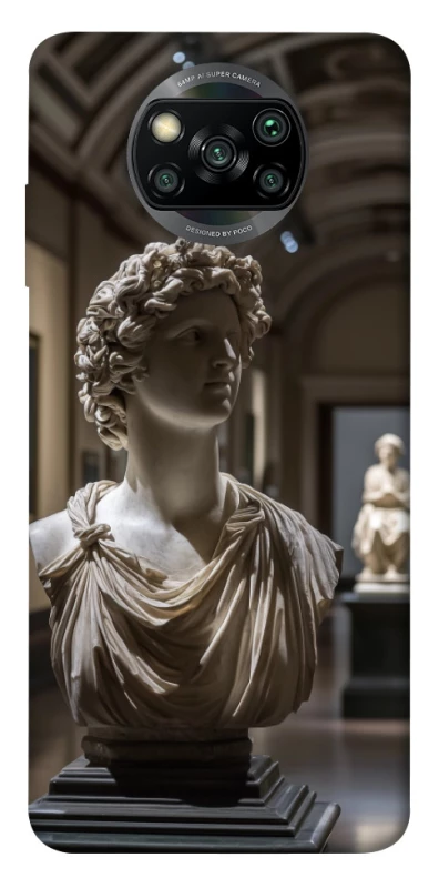 Чохол на Xiaomi Poco X3 NFC / Poco X3 Pro statue фото 1 з 1