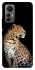 Чохол на Xiaomi 12 Lite Leopard v2 фото 1 з 1