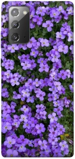 Чохол на Samsung Galaxy Note 20 Flowers v17 фото 1 з 1