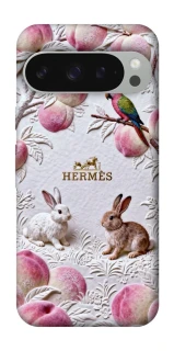 Чехол на Google Pixel 10 Pro XL Hermes фото 1 из 1