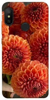 Чохол на Xiaomi Mi A2 Lite / Xiaomi Redmi 6 Pro Flower1 фото 1 з 1