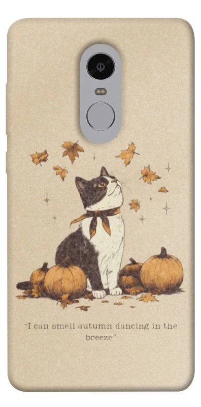 Чехол на Xiaomi Redmi Note 4X / Note 4 (Snapdragon) Autumn vibes ver.3 фото 1 из 1