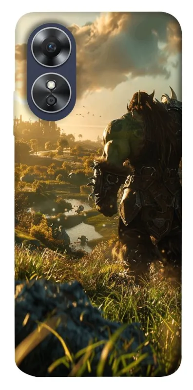 Чехол на Oppo A17 Orc фото 1 из 1