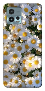 Чохол на Motorola Moto G72 Поле ромашок фото 1 з 1