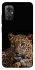 Чехол на Xiaomi Redmi Note 11R Leopard v4 фото 1 из 1