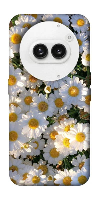 Чехол на Nothing Phone (2a) Поле ромашек фото 1 из 1