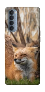 Чехол на Oppo Reno 4 Pro Лиса фото 1 из 1