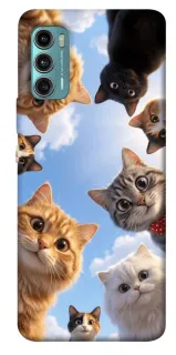 Чехол на Motorola Moto G60 Cats фото 1 из 1
