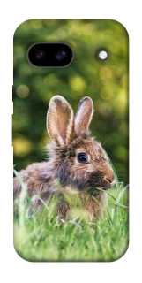 Чохол на Google Pixel 8a Кролики фото 1 з 1