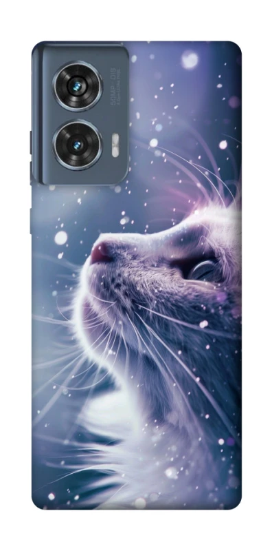 Чохол на Motorola Edge 50 Snow cat фото 1 з 1