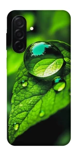 Чохол на Samsung Galaxy A26 5G Flowers v16 фото 1 з 1