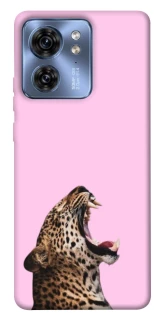 Чохол на Motorola Edge 40 Leopard Meow фото 1 з 1
