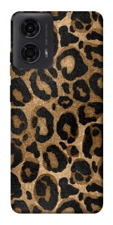 Чохол на Motorola Moto G24 Leopard Skin фото 1 з 1