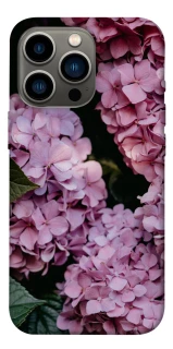 Чохол на Apple iPhone 13 Pro (6.1") Рожеві гартензії фото 1 з 1