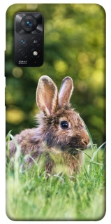 Чехол на Xiaomi Redmi Note 12 Pro 4G Кролики фото 1 из 1
