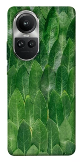 Чохол на Oppo Reno 10 Листя фото 1 з 1