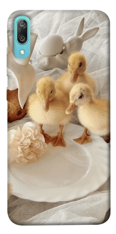 Чехол на Huawei Y6 Pro (2019) Easter Vibes фото 1 из 1