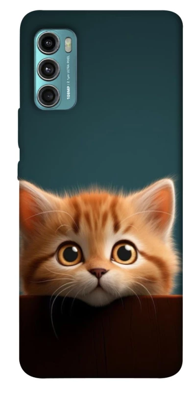 Чохол на Motorola Moto G60 Чохол Кошеня фото 1 з 1