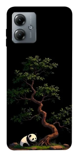 Чохол на Motorola Moto G14 Panda and tree фото 1 з 1