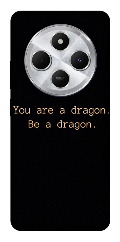 Чехол на Xiaomi Redmi 14C / Poco C75 House of the Dragon ver.9 фото 1 из 1