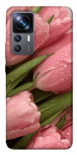 Чохол на Xiaomi 12T / 12T Pro Beauty фото 1 з 1