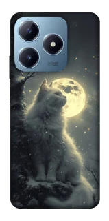 Чехол на Realme C63 Кот под луной фото 1 из 1