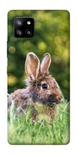 Чохол на Samsung Galaxy A42 5G Кролики фото 1 з 1
