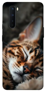 Чехол на OnePlus Nord Cat paws фото 1 из 1