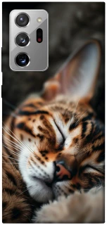 Чехол на Samsung Galaxy Note 20 Ultra Cat paws фото 1 из 1