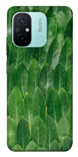 Чохол на Xiaomi Redmi 12C / Poco C55 Листя фото 1 з 1
