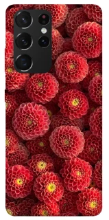 Чехол на Samsung Galaxy S21 Ultra Midnight1 фото 1 из 1